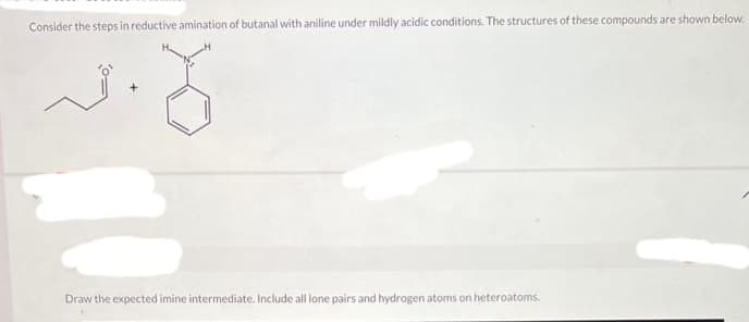 Consider the steps in reductive amination of butanal with aniline under mildly acidic conditions. The structures of these compounds are shown below.
8
Draw the expected imine intermediate. Include all lone pairs and hydrogen atoms on heteroatoms.