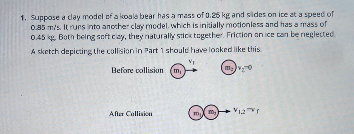 1. Suppose a clay model of a koala bear has a mass of 0.25 kg and slides on ice at a speed of
0.85 m/s. It runs into another clay model, which is initially motionless and has a mass of
0.45 kg. Both being soft clay, they naturally stick together. Friction on ice can be neglected.
A sketch depicting the collision in Part 1 should have looked like this.
m₂ v₂ 0
Before collision
After Collision
m₁
m₁ m₂ V1,2 =Vf