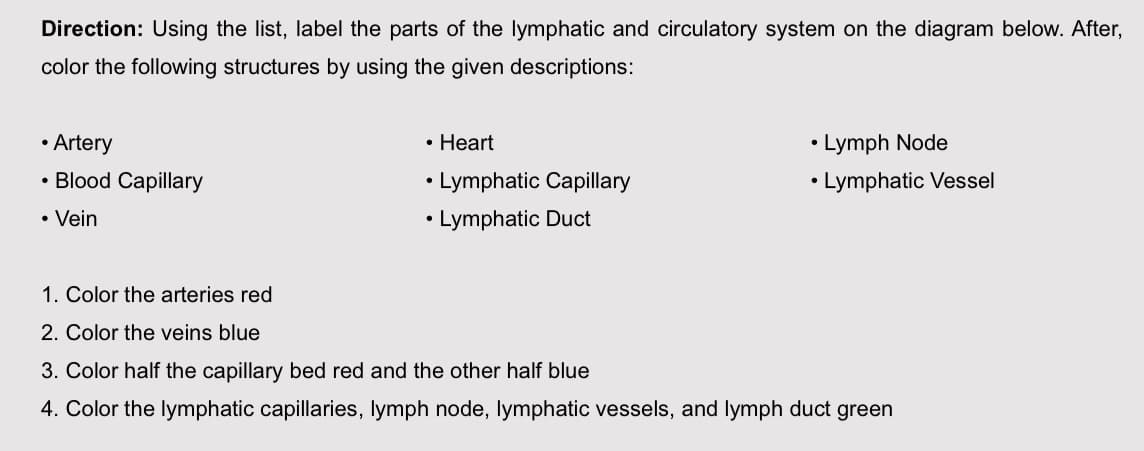 Direction: Using the list, label the parts of the lymphatic and circulatory system on the diagram below. After,
color the following structures by using the given descriptions:
• Artery
• Blood Capillary
• Vein
• Heart
• Lymphatic Capillary
• Lymphatic Duct
• Lymph Node
• Lymphatic Vessel
1. Color the arteries red
2. Color the veins blue
3. Color half the capillary bed red and the other half blue
4. Color the lymphatic capillaries, lymph node, lymphatic vessels, and lymph duct green