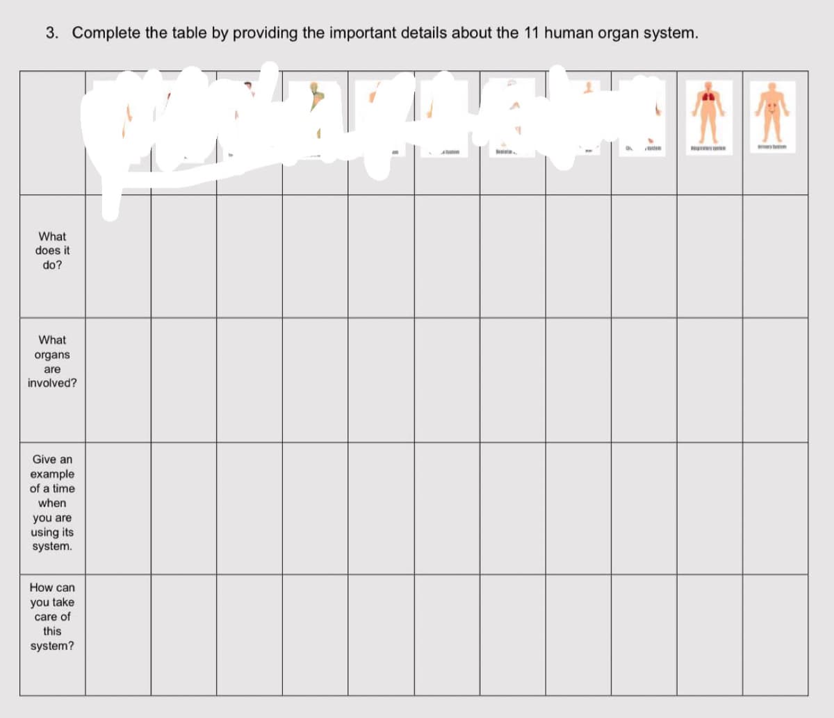 3. Complete the table by providing the important details about the 11 human organ system.
What
does it
do?
What
organs
are
involved?
Give an
example
of a time
when
you are
using its
system.
How can
you take
care of
this
system?