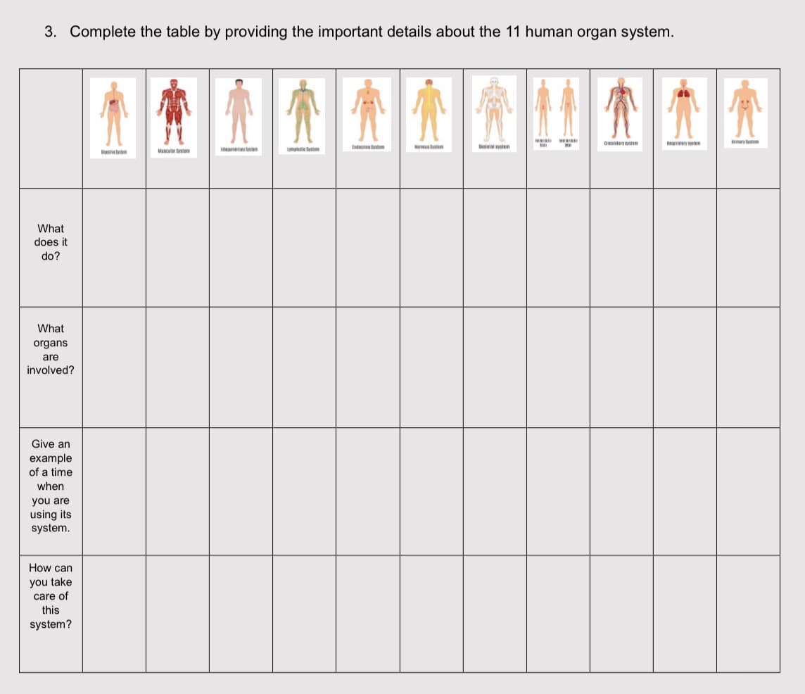 3. Complete the table by providing the important details about the 11 human organ system.
What
does it
do?
What
organs
are
involved?
Give an
example
of a time
when
you are
using its
system.
How can
you take
care of
this
system?
Mascatar Systems
Newsystem
Skalsystem
wwwww
Ciculatery system
Repatry
tary on