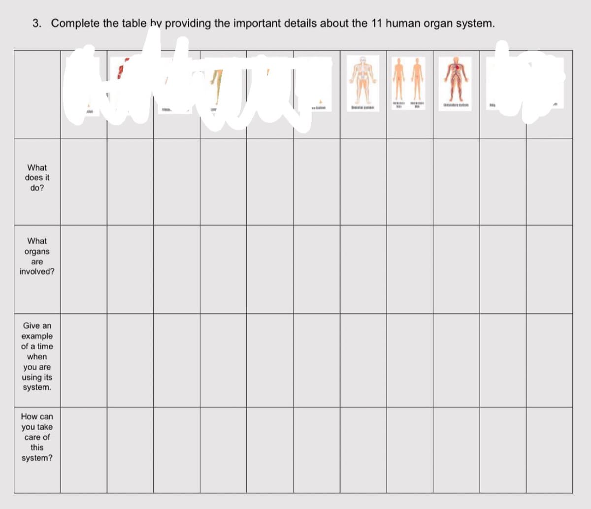 3. Complete the table by providing the important details about the 11 human organ system.
What
does it
do?
What
organs
are
involved?
Give an
example
of a time
when
you are
using its
system.
How can
you take
care of
this
system?
Hu
Sty
Greatery system