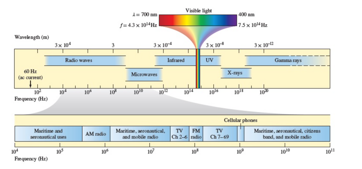 Wavelength (m)
60 Hz
(ac current)
10²
Frequency (Hz)
104
3x 104
Frequency (Hz)
Radio waves
104
Maritime and
aeronautical uses
105
106
AM radio
106
3
108
λ = 700 nm
f=4.3 x 10¹4Hz
3 x 10-4
Microwaves
10 10
Infrared
1012
Maritime, aeronautical,
and mobile radio
107
Visible light
1014
TV FM
Ch 2-6 radio
108
3 x 10-8
UV
1016
400 nm
7.5 x 10¹4 Hz
X-rays
TV
Ch 7-69
1018
Cellular phones
3x 10-12
10⁹
1020
Gamma rays
Maritime, aeronautical, citizens
band, and mobile radio
10 ¹0
10¹1