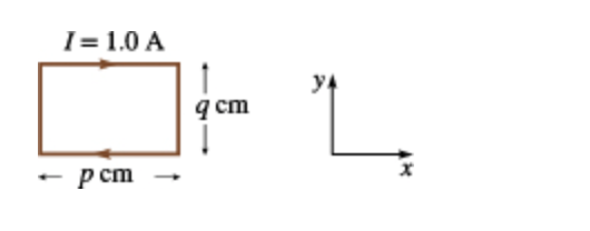 I= 1.0 A
pcm
9 cm
y
L
X