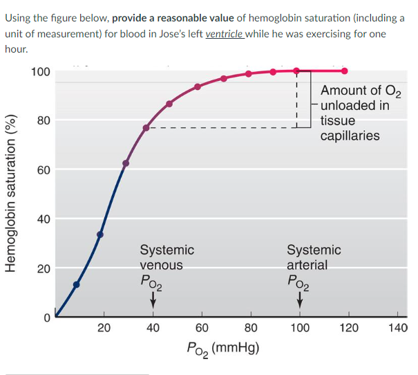 Using the figure below, provide a reasonable value of hemoglobin saturation (including a
unit of measurement) for blood in Jose's left ventricle while he was exercising for one
hour.
100
Amount of O2
unloaded in
tissue
80
capillaries
60
40
Systemic
arterial
Systemic
venous
20
Po2
Po2
20
40
60
80
100
120
140
Po, (mmHg)
Hemoglobin saturation (%)
