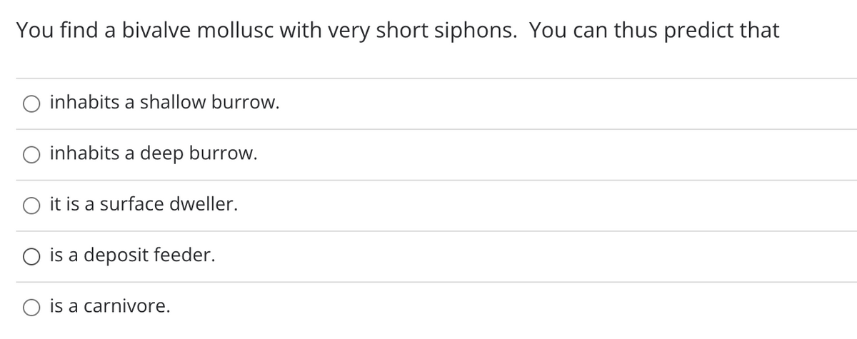 You find a bivalve mollusc with very short siphons. You can thus predict that
inhabits a shallow burrow.
O inhabits a deep burrow.
it is a surface dweller.
O is a deposit feeder.
is a carnivore.
