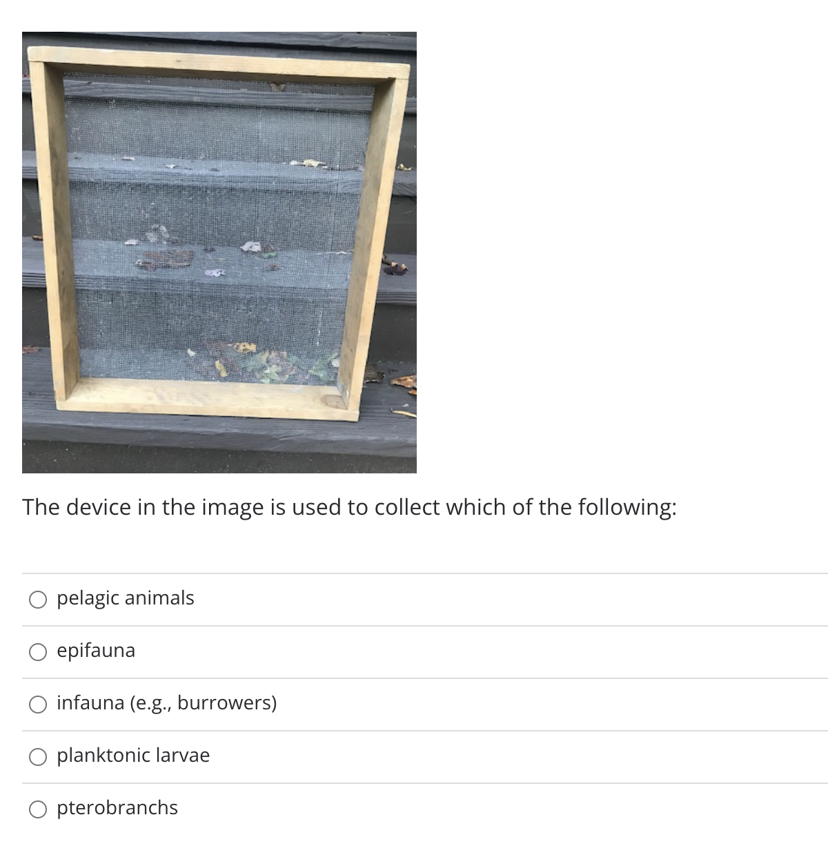 The device in the image is used to collect which of the following:
pelagic animals
epifauna
infauna (e.g., burrowers)
planktonic larvae
O pterobranchs
