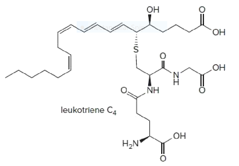 OH
HO.
HO
NH
leukotriene C4
HO-
H,N
