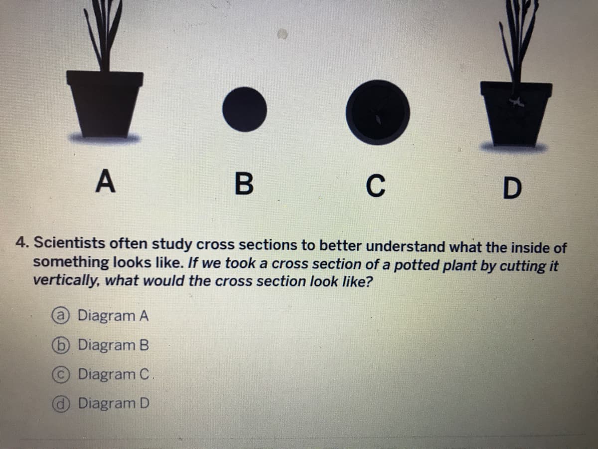 A B C D
4. Scientists often study cross sections to better understand what the inside of
something looks like. If we took a cross section of a potted plant by cutting it
vertically, what would the cross section look like?
Diagram A
Diagram B
Diagram C.
Diagram D
