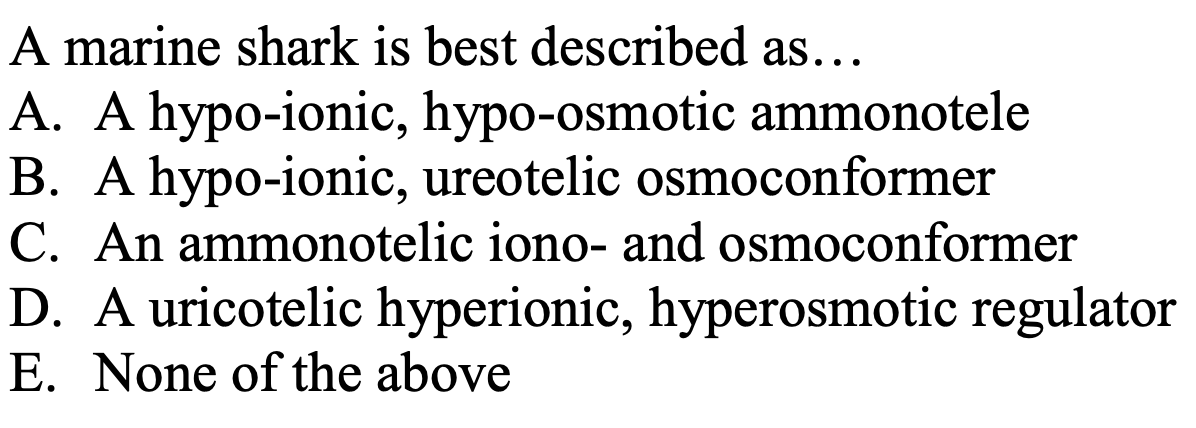 A marine shark is best described as...
A. A hypo-ionic, hypo-osmotic ammonotele
B. A hypo-ionic, ureotelic osmoconformer
C. An ammonotelic iono- and osmoconformer
D. A uricotelic hyperionic, hyperosmotic regulator
E. None of the above