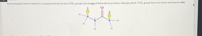 Semicarbazide (shown below) is a compound that has two NH₂ groups, but on one of them forms an imine. Indicate which NH₂ group forms an imine and explain why
N