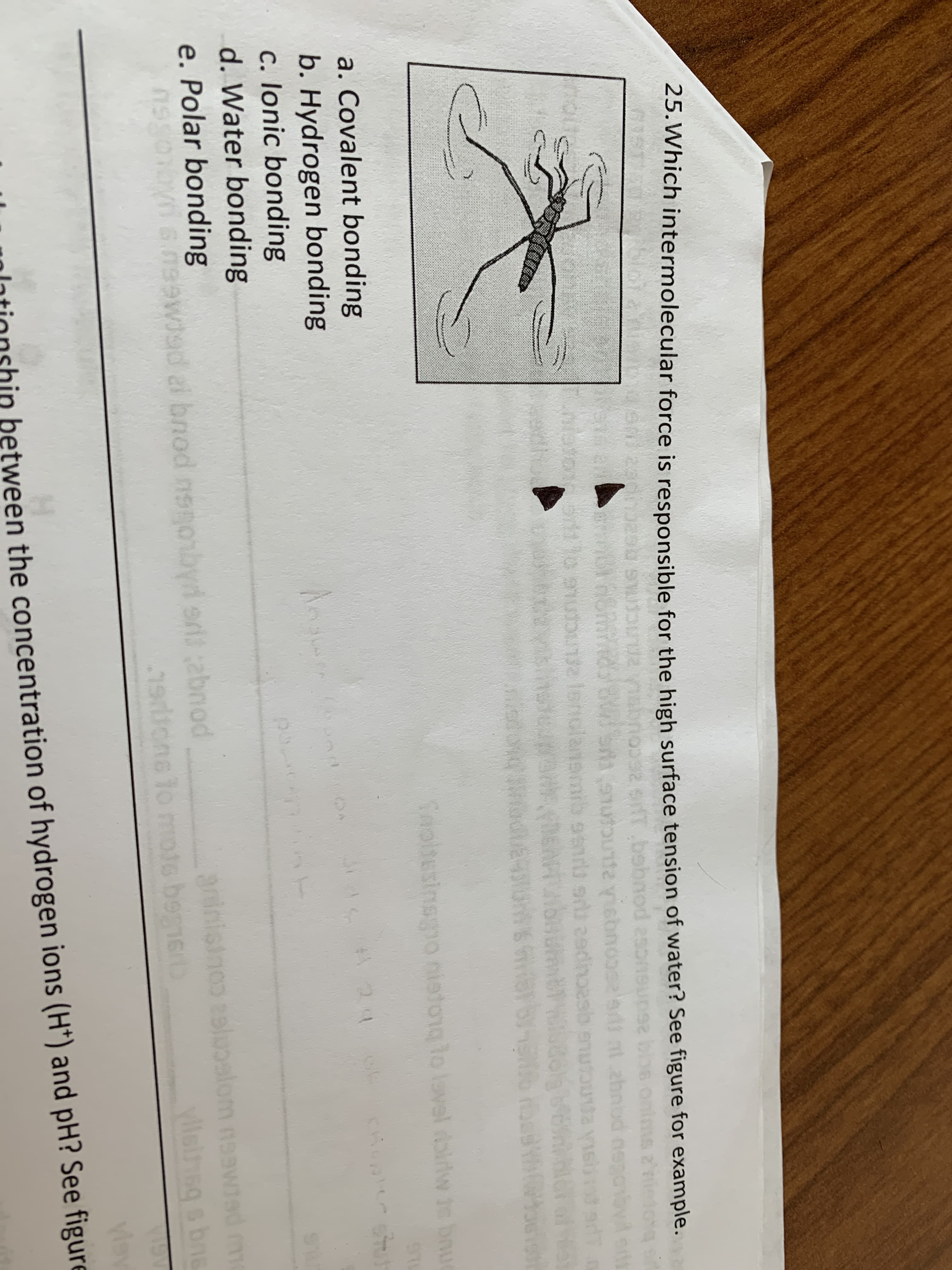 25.Which intermolecular force is responsible for the high surface tension of water? See figure for example.
nutounte yisbnos
tzhnod nep
lenolans
waduE4
Saoitesinsgmo nistong lo laval doiw in bnu
Aw is
a. Covalent bonding
b. Hydrogen bonding
c. Ionic bonding
d. Water bonding
e. Polar bonding
A 24
aninisinco sluelom naawed m
yillsinsg s bne
59
ai bnod nsnonbyrd eri abnod
1epone to mots begner
Visy
between the concentration of hydrogen ions (H*) and pH? See figure
