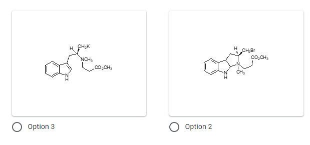 CH,K
CH,Br
Co,CH3
NCH3
.co,CH,
Option 3
Option 2
