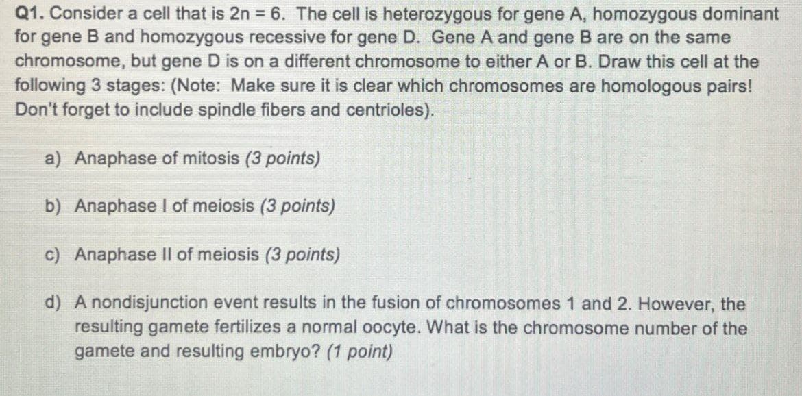 Q1. Consider a cell that is 2n = 6. The cell is heterozygous for gene A, homozygous dominant
for gene B and homozygous recessive for gene D. Gene A and gene B are on the same
chromosome, but gene D is on a different chromosome to either A or B. Draw this cell at the
following 3 stages: (Note: Make sure it is clear which chromosomes are homologous pairs!
Don't forget to include spindle fibers and centrioles).
a) Anaphase of mitosis (3 points)
b) Anaphase I of meiosis (3 points)
c) Anaphase II of meiosis (3 points)
d) A nondisjunction event results in the fusion of chromosomes 1 and 2. However, the
resulting gamete fertilizes a normal oocyte. What is the chromosome number of the
gamete and resulting embryo? (1 point)