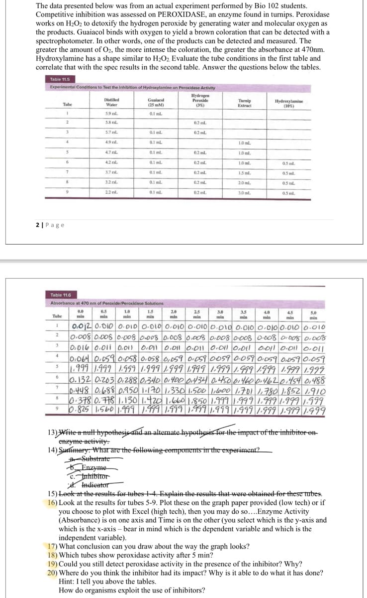 The data presented below was from an actual experiment performed by Bio 102 students.
Competitive inhibition was assessed on PEROXIDASE, an enzyme found in turnips. Peroxidase
works on H2O2 to detoxify the hydrogen peroxide by generating water and molecular oxygen as
the products. Guaiacol binds with oxygen to yield a brown coloration that can be detected with a
spectrophotometer. In other words, one of the products can be detected and measured. The
greater the amount of O2, the more intense the coloration, the greater the absorbance at 470nm.
Hydroxylamine has a shape similar to H2O2. Evaluate the tube conditions in the first table and
correlate that with the spec results in the second table. Answer the questions below the tables.
Table 11.5
Experimental Conditions to Test the Inhibition of Hydroxylamine on Peroxidase Activity
Hydrogen
Peroxide
(3%)
Distilled
Guaiacol
(25 mM)
Turnip
Extract
Hydroxylamine
(10%)
Tube
Water
5.9 ml.
0.1 ml
2
5.8 ml.
0.2 ml.
3
5.7 ml.
0.1 ml.
0.2 ml.
4.9 ml.
0.1 ml
1.0 ml.
4,7 ml.
0.1 ml.
0.2 ml.
1.0 ml.
6.
4.2 ral.
0.1 ml
0.2 ml.
1.0 ml.
0.5 ml.
3.7 ml.
0.1 ml.
0.2 ml.
15 ml.
05 ml.
3.2 al.
0,1 ml.
0.2 ml.
2.0 ml.
05 ml.
2.2 ml.
0.1 ml.
0.2 ml.
3.0 ml.
05 ml.
2 |Page
Table 11.6
Absorbance at 470 nm of Peroxide/Peroxidase Solutions
0.0
0.5
min
1.0
1.5
min
2.0
min
2.5
min
3.0
3.5
4.0
4.5
min
5.0
min
Tube
min
min
min
min
min
0.0j2 0.D100.0I0 0.010 0.010 0.010 0.01d o-0j0l o.01ol0.010 0.010
0,008 0.008 0-008 0-008 o.008 0.008 o.008 0008 0-008 o.008 0.008
0:01le 0.01i 0.01) 0.011 0.DII 0.DI1 0.011 0,DIl OI011 0-011 o.01
l0:0640.0590:058 0,058 0,059 0.059 0059|0:059 0.059 0.0590.059
1.999 |1.999 | 1.999 |1.999|1999|1L999 1,999|1999|1999 1.999|1999
0.132 0.203 0,288 0,340 0140001434 0.450014600.46201454 01488
l0.448/0.688D.950 1,170 1,3301.500 1,6001,70117801.852 1910
0.378 0.778 1,130 1.420 1.660 1.850 1.999 1.9991.999 1.999 1.999
0.825 1,5601.999 1.999 1.999 1991.99¶|19991.999 1.999 1.999
4
8
13)Write a null hypothesis and an alternate hypothesis Ter the impact of the inhibitor en
enzyme aetivity:
14) Summary: What are the fellowing eompunents in the experiment?
Substrate
Ar-
Enzyme
C.Inhibitor
. Indieator
15) Leek at the esults for tubes +4. Explain the results that were obtained for these tubes.
16) Look at the results for tubes 5-9. Plot these on the graph paper provided (low tech) or if
you choose to plot with Excel (high tech), then you may do so....Enzyme Activity
(Absorbance) is on one axis and Time is on the other (you select which is the y-axis and
which is the x-axis – bear in mind which is the dependent variable and which is the
independent variable).
17) What conclusion can you draw about the way the graph looks?
18) Which tubes show peroxidase activity after 5 min?
19) Could you still detect peroxidase activity in the presence of the inhibitor? Why?
20) Where do you think the inhibitor had its impact? Why is it able to do what it has done?
Hint: I tell you above the tables.
How do organisms exploit the use of inhibitors?
