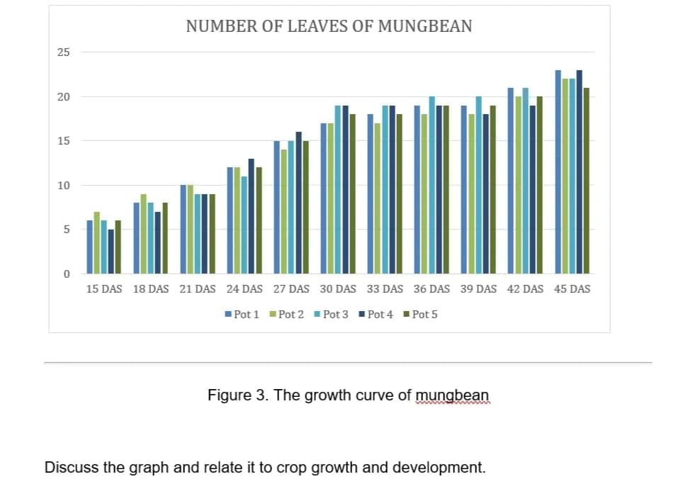 NUMBER OF LEAVES OF MUNGBEAN
25
20
15
10
15 DAS 18 DAS 21 DAS 24 DAS 27 DAS 30 DAS 33 DAS 36 DAS 39 DAS 42 DAS 45 DAS
Pot 1 Pot 2 Pot 3 Pot 4 1 Pot 5
Figure 3. The growth curve of mungbean
Discuss the graph and relate it to crop growth and development.
