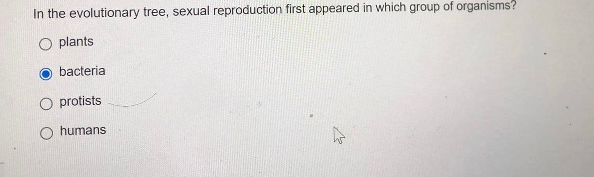 In the evolutionary tree, sexual reproduction first appeared in which group of organisms?
O plants
bacteria
O protists
humans
