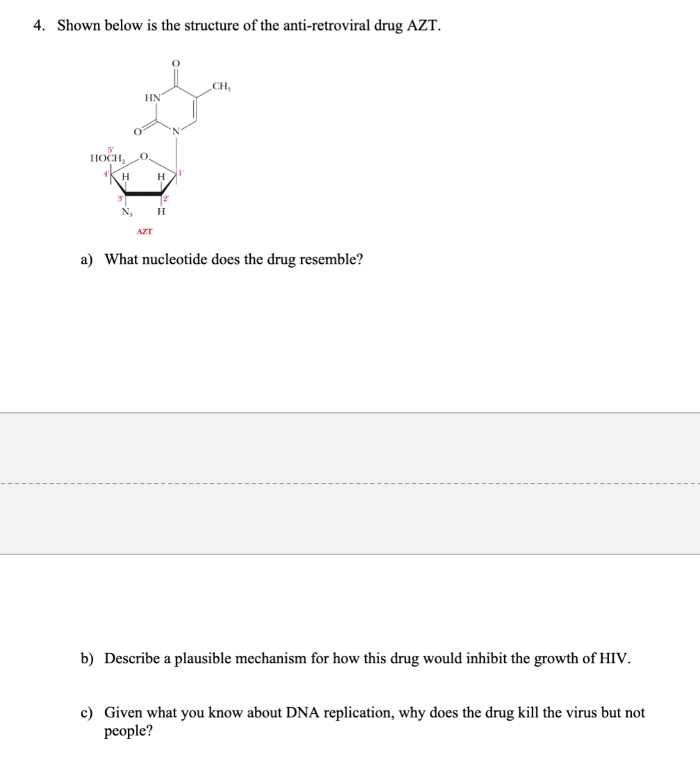 4. Shown below is the structure of the anti-retroviral drug AZT.
HOCH,
H
3
N₂
HN
AZT
H
2
H
O
CH₂
a) What nucleotide does the drug resemble?
b) Describe a plausible mechanism for how this drug would inhibit the growth of HIV.
c) Given what you know about DNA replication, why does the drug kill the virus but not
people?