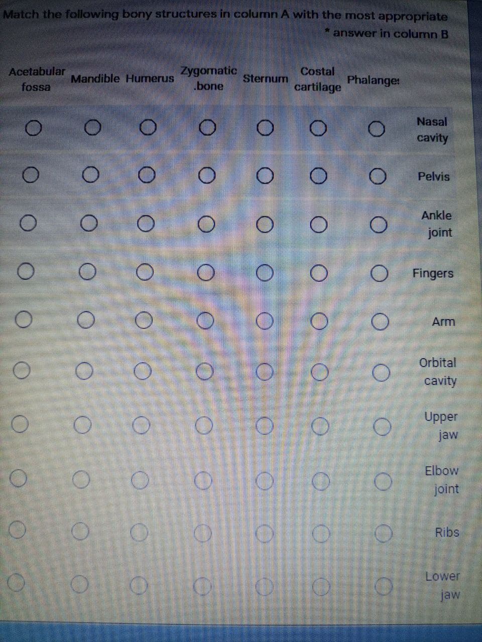 Match the following bony structures in column A vwith the most appropriate
* answer in column B
Acetabular
fossa
Zygomatic
.bone
Costal
Phalange
cartilage
Mandible Humerus
Sternum
Nasal
cavity
Pelvis
Ankle
joint
Fingers
Arm
Orbital
cavity
Upper
jaw
Elbow
joint
Ribs
Lower
jaw
O O O O O O
