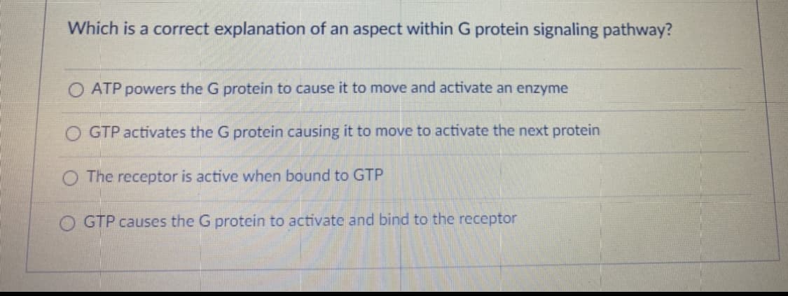 Which is a correct explanation of an aspect within G protein signaling pathway?
ATP powers the G protein to cause it to move and activate an enzyme
O GTP activates the G protein causing it to move to activate the next protein
O The receptor is active when bound to GTP
GTP causes the G protein to activate and bind to the receptor
