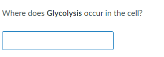 Where does Glycolysis occur in the cell?
