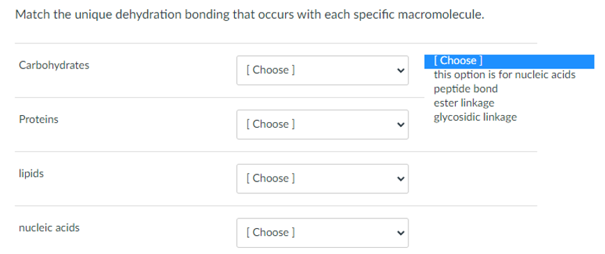 Match the unique dehydration bonding that occurs with each specific macromolecule.
[Choose ]
this option is for nucleic acids
peptide bond
ester linkage
glycosidic linkage
Carbohydrates
[ Choose ]
Proteins
[ Choose ]
lipids
[ Choose ]
nucleic acids
[ Choose ]
>
>
>
