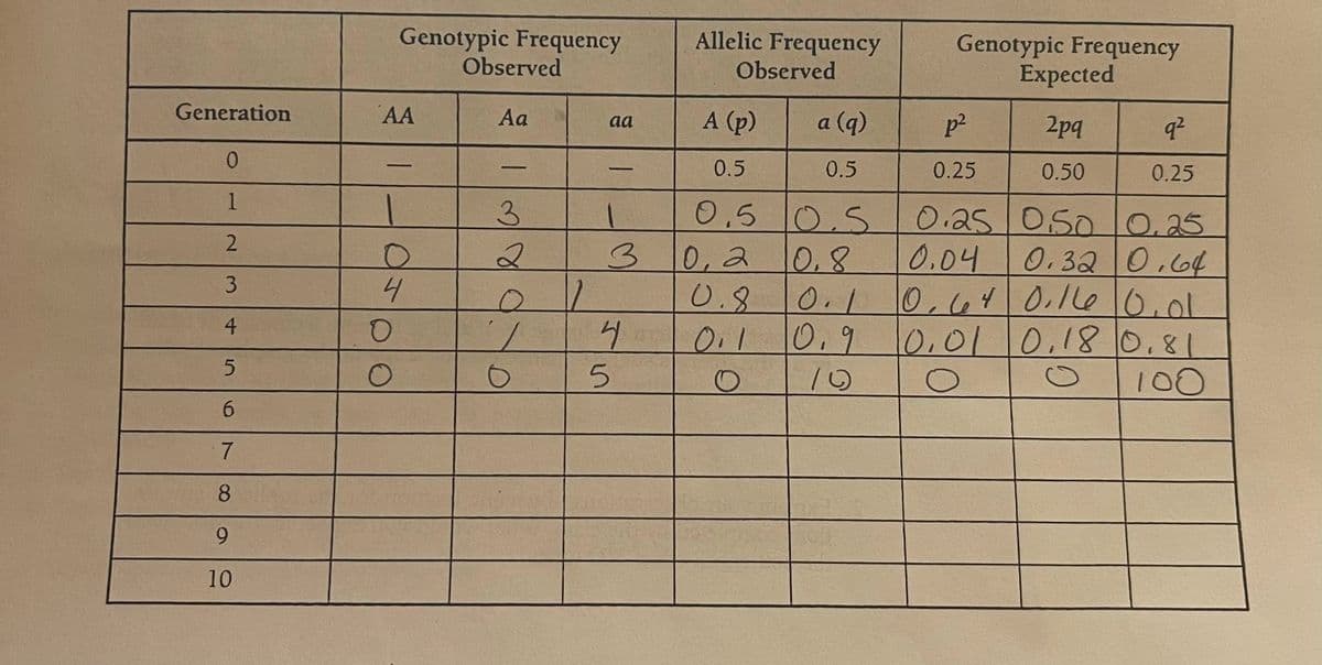 Generation
0
1
2
3
4
5
6
7
8
9
10
Genotypic Frequency
AA
1
O
4
O
Observed
Aa
3
2
O
1
O
17
aa
1
3
4
5
Allelic Frequency
Observed
A (p)
0.5
0.5 0.5
0,8
a (q)
0.5
0,2
0.8 0.
0.1
O
0.9
Genotypic Frequency
Expected
2pq
0.50
p²
0.25
q²
0.25
0.25 0.50 0.25
0.04
0.32 0.64
0.64 0.16 0.01
0.01 0.18 0.81
O
O
100