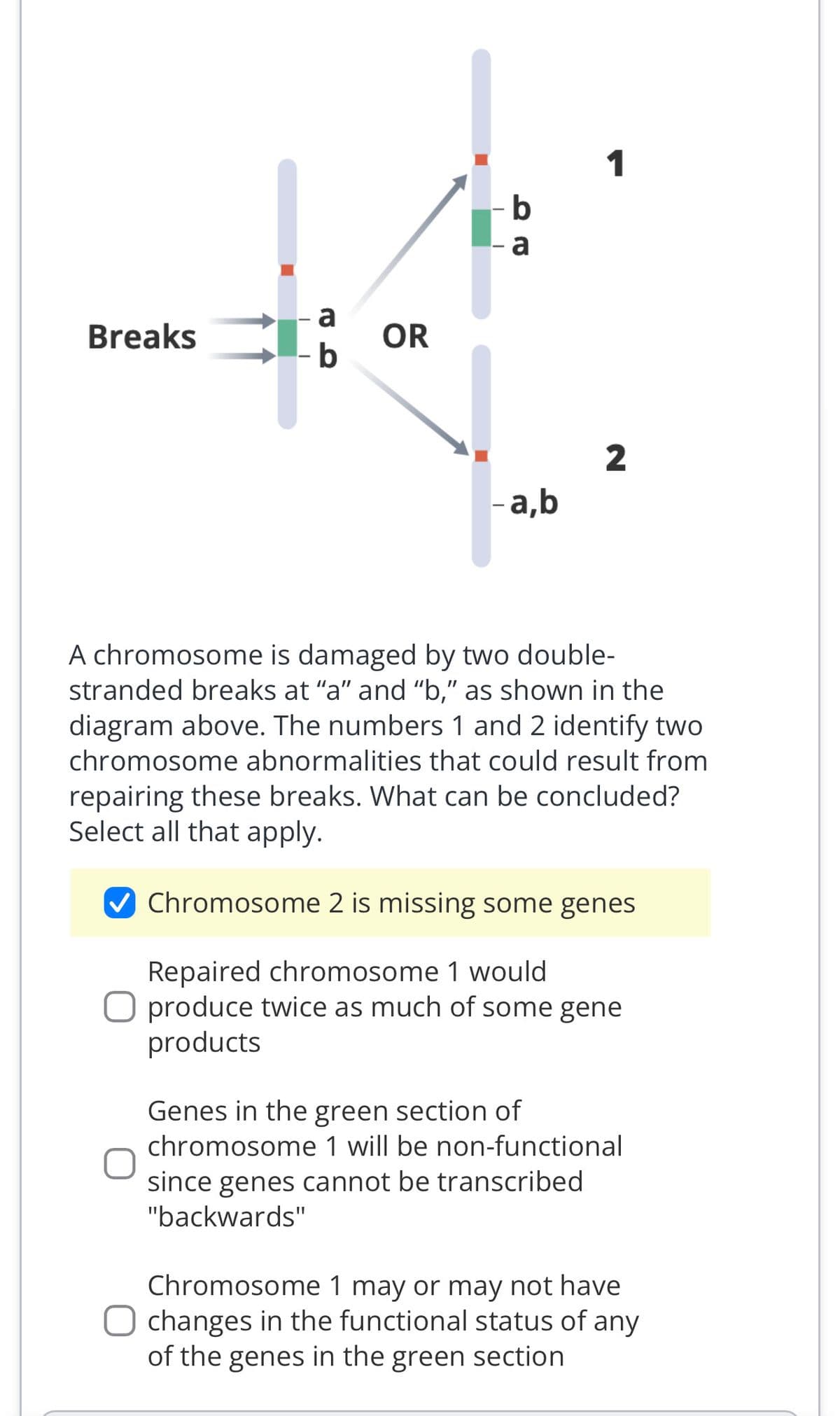 Breaks
a
- b
OR
- b
e0
- a,b
1
2
A chromosome is damaged by two double-
stranded breaks at "a" and "b," as shown in the
diagram above. The numbers 1 and 2 identify two
chromosome abnormalities that could result from
repairing these breaks. What can be concluded?
Select all that apply.
✔Chromosome 2 is missing some genes
Repaired chromosome 1 would
O produce twice as much of some gene
products
Genes in the green section of
chromosome 1 will be non-functional
since genes cannot be transcribed
"backwards"
Chromosome 1 may or may not have
changes in the functional status of any
of the genes in the green section