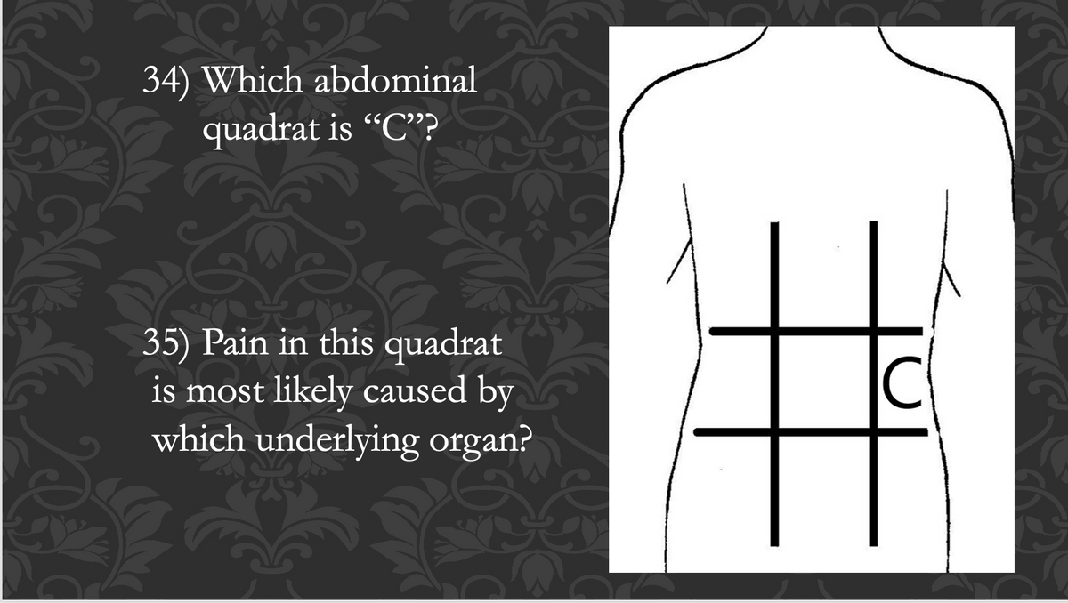 34) Which abdominal
quadrat is "C"?
35) Pain in this quadrat
is most likely caused by
which underlying organ?
v