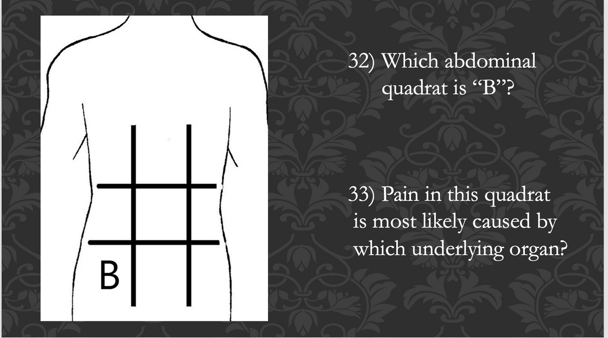 B
32) Which abdominal
quadrat is "B"?
33) Pain in this quadrat
is most likely caused by
which underlying organ?