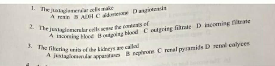 2. The juxtaglomerular cells sense the contents of
1. The juxtaglomerular cells make
3. The filtering units of the kidneys are called
1. The juxtaglomerular cells make
A renin B ADH C aldosterone Dangiotensin
A incoming blood B outgoing blood C outgoing filtrate D incoming filtrate
