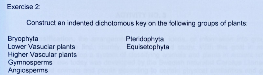 Exercise 2:
Construct an indented dichotomous key on the following groups of plants:
Bryophyta
Lower Vasuclar plants
Higher Vascular plants
Gymnosperms
Angiosperms
Pteridophyta
Equisetophyta
