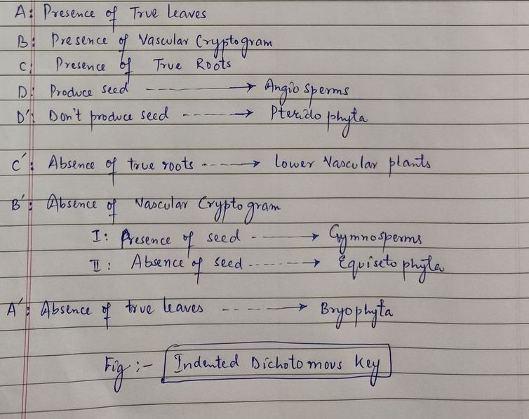 A: Presence of True leaves
B: Pre sence of Vascular (rypto gram
.
True Roots
C
Presence bf
D Produce seed
D Don't
Angio Sperms
→ Přenilo phyta.
produce
wee seed
c: Absence of true r0ots
- Lower Vascular plants
trystogram
Absence of
I: Aresence f
Absence
Nascular
seed
Equiecto phyta.
Boyophyta
T :
seed
A Absence of tr ue leaves
:- Indented Dichoto movs
ky
