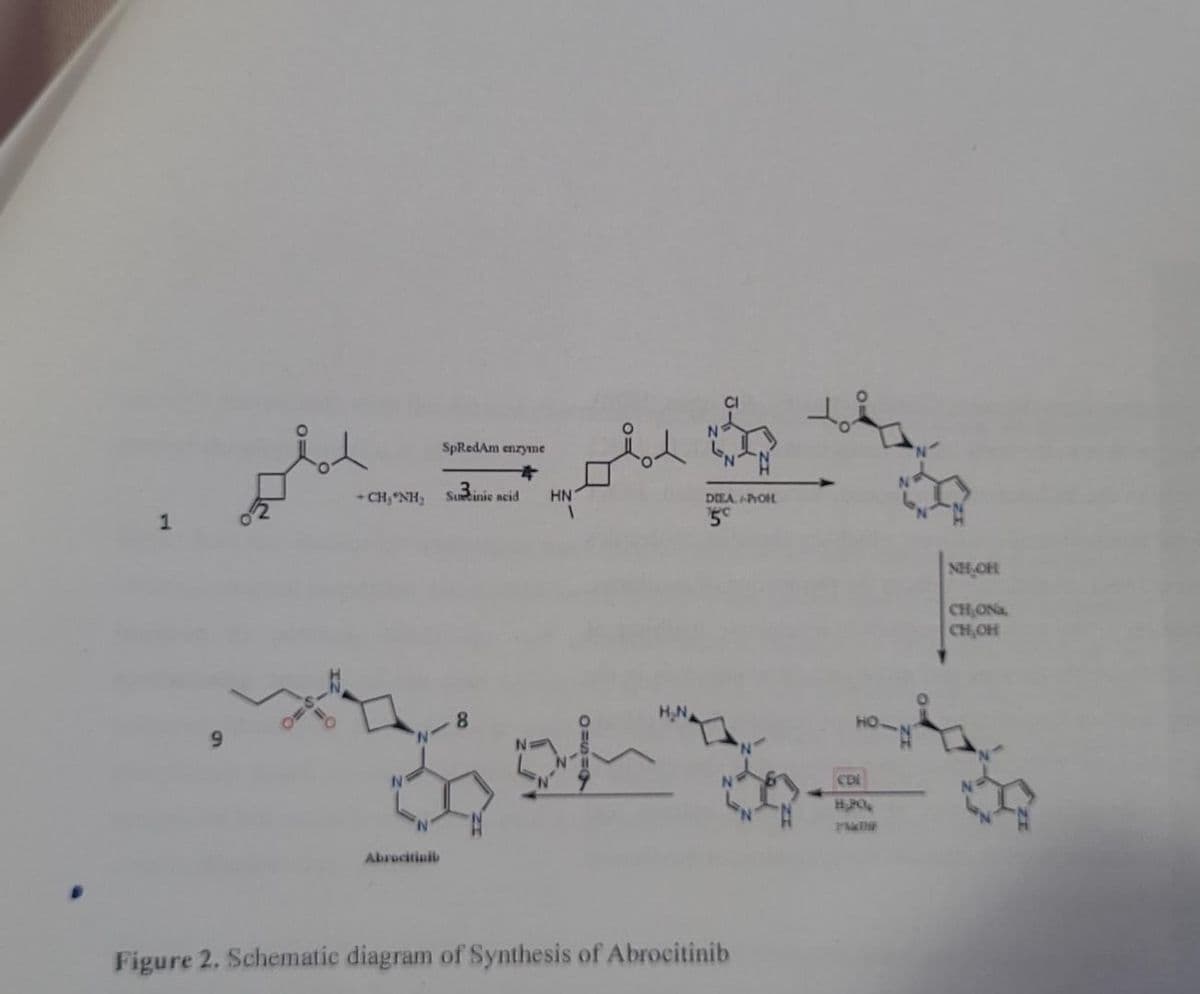1
9
SpRedAm enzyme
+ CHÍNH: Surcinic acid HN
8
39th
Abrocitinib
H₂N
DIEA+PYOHL
5°
Figure 2. Schematic diagram of Synthesis of Abrocitinib
CDL
H,204
NH₂OH
CH₂ONa,
CH,OH