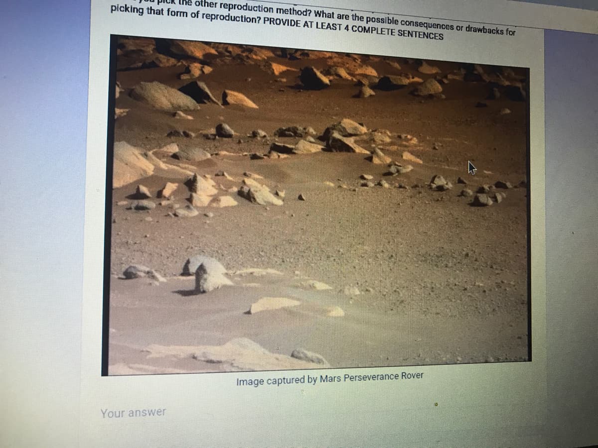 Ihe other reproduction method? What are the possible consequences or drawbacks for
picking that form of reproduction? PROVIDE AT LEAST 4 COMPLETE SENTENCES
Image captured by Mars Perseverance Rover
Your answer
