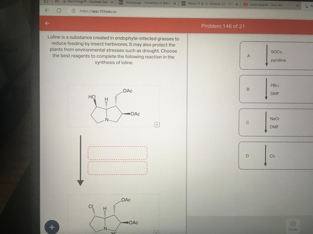 M&Hero Forge Summer Sale X
https://app.101edu.co
C
+
Loline is a substance created in endophyte-infected grasses to
reduce feeding by insect herbivores. It may also protect the
plants from environmental stresses such as drought. Choose
the best reagents to complete the following reaction in the
synthesis of loline.
Homepage - University of Wate X
OAC
HO
H
HC
N
Im
N
LOAC
OAC
OAc
a
n
Week 11 & 12-Module 12-CH X
Problem 146 of 21
A
B
C
surah baqrah - YouTube
D
SOCI₂
pyridine
PBra
DMF
NaCl
DMF
Cla
X
Ⓒ
Done
A