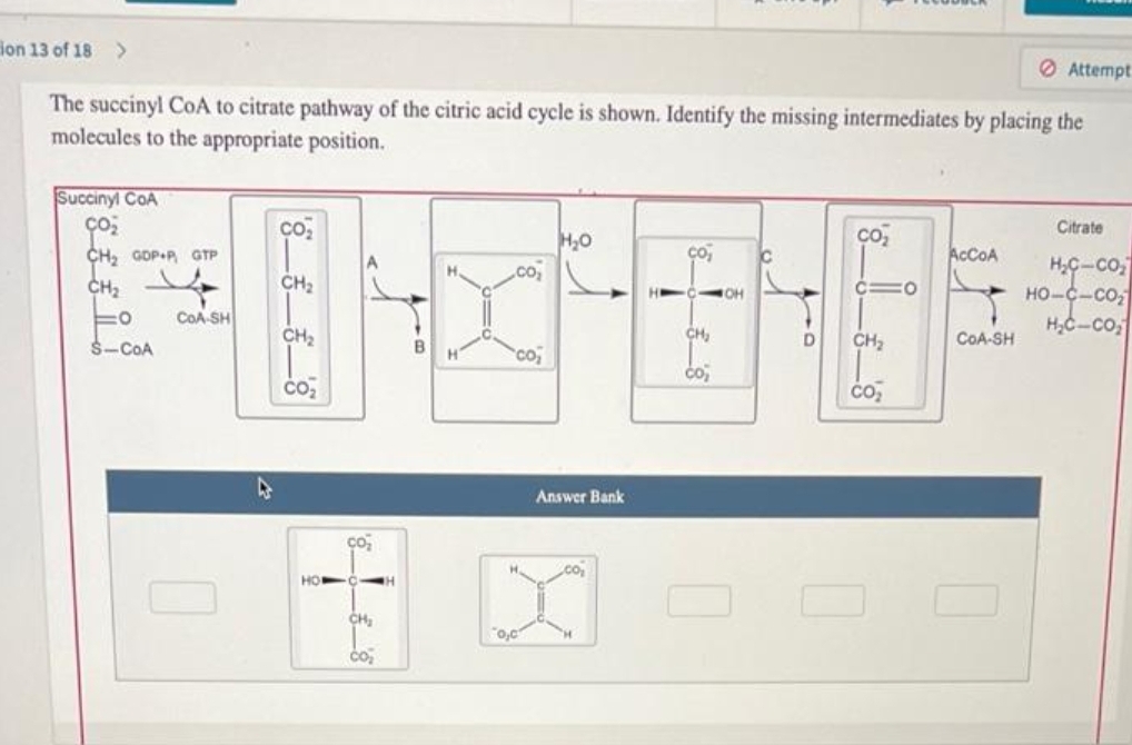 on 13 of 18 >
The succinyl CoA to citrate pathway of the citric acid cycle is shown. Identify the missing intermediates by placing the
molecules to the appropriate position.
Succinyl CoA
çoż
CH₂ GOP.P. GTP
CH₂
V
=o COA-SH
S-COA
CO₂
CH₂
CH₂
CO₂
HOW
CO₂
CH₂
CO₂
H
B H
CO₂
co
"o,c
H₂O
Answer Bank
ço,
CH₂
co₂
OH
CO₂
CIO
CH₂
CO₂
AcCoA
Attempt
COA-SH
Citrate
H₂C-CO₂
HỌ–C.COz
H₂C-CO₂