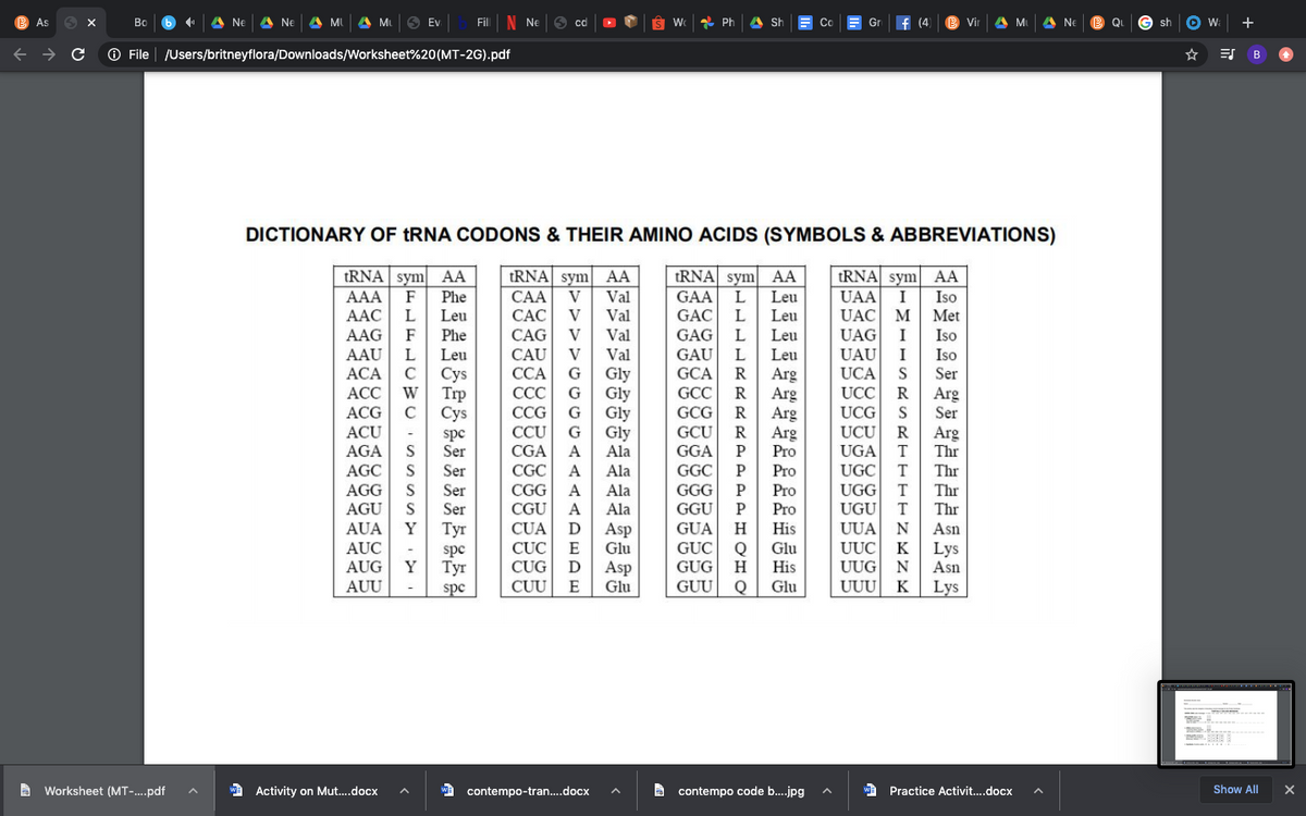 As
Во
A Ne
A Ne
A MU
A Mu
Ev
Fil
N Ne
* Ph
A Sh
Co
Gr
f (4
Vir
A M
A Ne
Qi
W.
+
cd
sh
O File
/Users/britneyflora/Downloads/Worksheet%20(MT-2G).pdf
B
DICTIONARY OF TRNA CODONS & THEIR AMINO ACIDS (SYMBOLS & ABBREVIATIONS)
tRNA| sym
tRNA| sym
tRNA sym AA
UAA
AA
AA
tRNA sym AA
AAA
F
AAC
L
V
CÁC
CAG
Val
Val
L
L
Leu
Iso
Met
Phe
САА
GAA
Leu
I
Leu
V
GẶC
UAC
M
Val
Val
AAG
F
Phe
V
GAG
Leu
Leu
UAG
UAU
I
UCA
I
Iso
L
Leu
C
Сys
W
Trp
C
Сys
CAU
ССА
ССС
CCG
V
GAU
GCA
Iso
Ser
AAU
АСА
АСС
Gly
G
Arg
Arg
Arg
Arg
Pro
UCC
UCG
UCU
Gly
G
GCC
GCG
R
Arg
Ser
ACG
Gly
Gly
A
ACU
CCU
CGA
G
GCU
R
spc
Ser
Arg
Thr
AGA
AGC
AGG
AGU
GGA
GGC
S
Ala
UGA
S
Ser
CGC
A
Ala
Ala
P
Pro
UGC
UGG
UGU
Thr
Pro
P
Pro
Ser
CGG
GGG
P
Thr
Thr
Ser
CGU
Ala
GGU
AUA
Y
Tyr
CUA
Asp
Glu
Asp
E
GUA
H
GUC
GUG
His
UUA
N
Asn
AUC
AUG
Y
CỤC
CUG
CUU
Glu
His
UUC
K
spc
Тyr
Lys
Asn
H
UUG
AUU
spc
Glu
GUU
Glu
UUU
K
Lys
-
A Worksheet (MT-.pdf
wa Activity on Mut..docx
WA contempo-tran..docx
A contempo code b.jpg
wa Practice Activit..docx
Show All
RR
AADED
