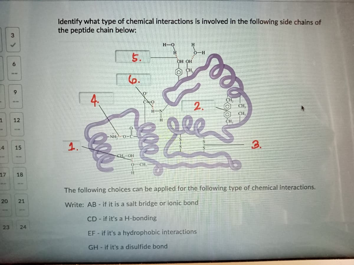 Identify what type of chemical interactions is involved in the following side chains of
the peptide chain below:
3
H-Q
0-H
5.
OH OH
CH,
6.
9.
4.
--
CH,
2.
200
CH,
12
CH
CH,
-NH,0-C
4
1.
15
3.
CH.-OH
O CH.
17
18
The following choices can be applied for the following type of chemical interactions.
20
21
Write: AB - if it is a salt bridge or ionic bond
CD - if it's a H-bonding
23
24
EF - if it's a hydrophobic interactions
GH - if it's a disulfide bond
