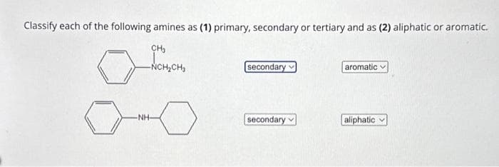 Classify each of the following amines as (1) primary, secondary or tertiary and as (2) aliphatic or aromatic.
CH₂
-ŃCH₂CH₂
-NH-
secondary
secondary
aromatic v
aliphatic