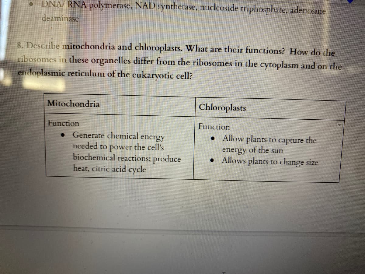 DNA/ RNA polymerase, NAD synthetase, nucleoside triphosphate, adenosine
deaminase
8. Describe mitochondria and chloroplasts. What are their functions? How do the
ribosomes in these organelles differ from the ribosomes in the cytoplasm and on the
endoplasmic reticulum of the eukaryotic cell?
Mitochondria
Chloroplasts
Function
Function
Generate chemical energy
needed to power the cell's
biochemical reactions; produce
heat, citric acid cycle
• Allow plants to capture the
of the sun
energy
• Allows plants to change size
