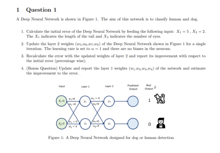 1 Question 1
A Deep Neural Network is shown in Figure 1. The aim of this network is to classify human and dog.
1. Calculate the initial error of the Deep Neural Network by feeding the following input: X₁ = 5, X₂ = 2.
The X₁ indicates the length of the tail and X₂ indicates the number of eyes.
2. Update the layer 2 weights (ws,we,w7,ws) of the Deep Neural Network shown in Figure 1 for a single
iteration. The learning rate is set to a = 1 and there are no biases in the neurons.
3. Recalculate the error with the updated weights of layer 2 and report its improvement with respect to
the initial error (percentage wise).
4. (Bonus Question) Update and report the layer 1 weights (w₁,₂,3,w₁) of the network and estimate
the improvement to the error..
Input
X₁-5
X₂-2
W₂-0
W₂=0
w₂ = 0
W₁=0
Layer 1
3₁
W₁=0
₂0
w₂0
Layer 2
Predicted
Output
Real
Output
1
0
Figure 1: A Deep Neural Network designed for dog or human detection