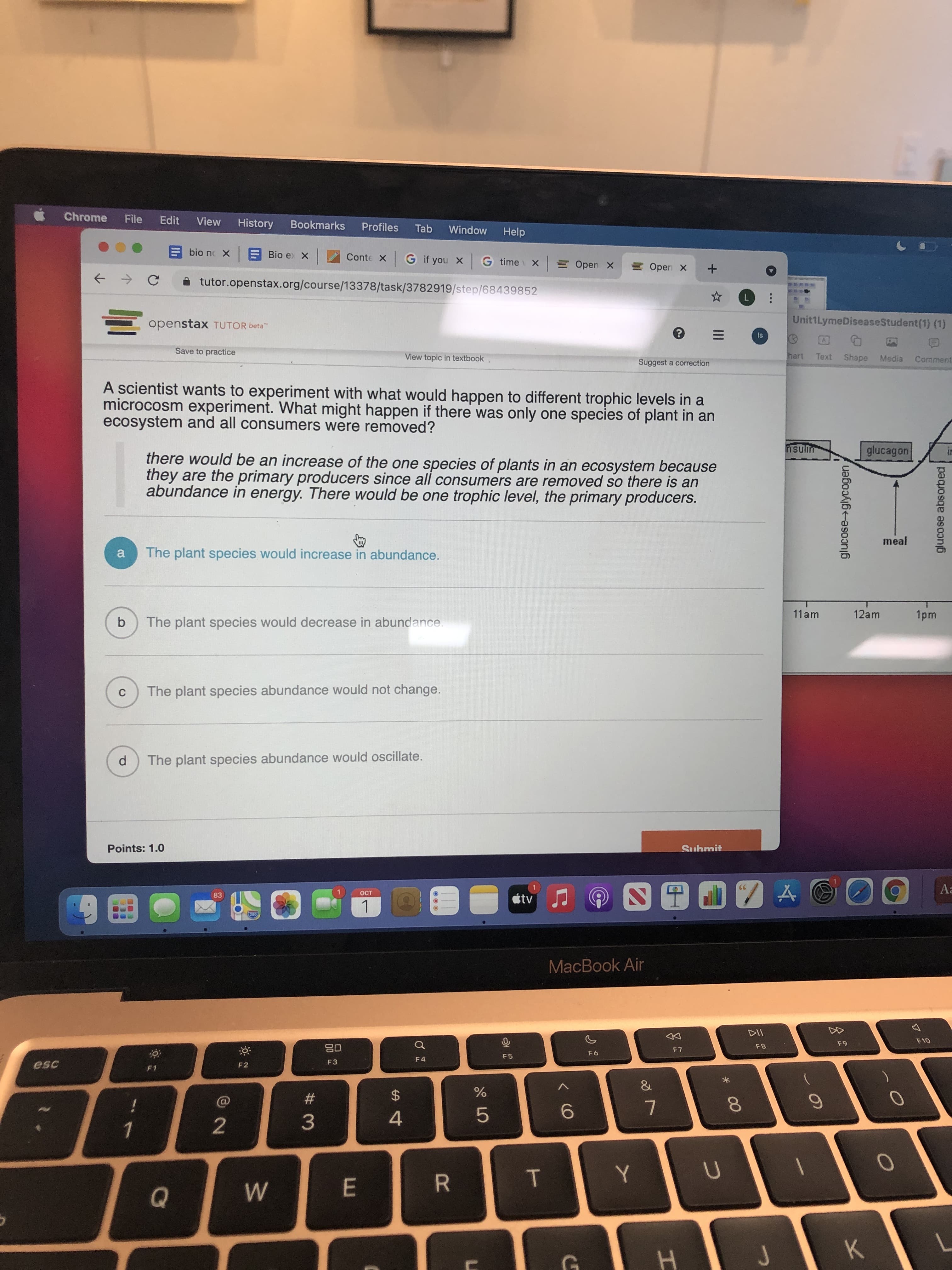 glucose glycogen
< CO
glucose absorbed
* 00
Chrome
File
Edit
View
History
Bookmarks
Profiles
Tab
Window
Help
E bio no x
E Bio e x
Conte X G if you X
G time X
E Open X
E Open X
A tutor.openstax.org/course/13378/task/3782919/step/68439852
Unit1LymeDiseaseStudent(1) (1)
openstax TUTOR beta"
Save to practice
hart
Text
Shape
Media
Comment
View topic in textbook
Suggest a correction
A scientist wants to experiment with what would happen to different trophic levels in a
microcosm experiment. What might happen if there was only one species of plant in an
ecosystem and all consumers were removed?
nsulim
glucagon
there would be an increase of the one species of plants in an ecosystem because
they are the primary producers since all consumers are removed so there is an
abundance in energy. There would be one trophic level, the primary producers.
meal
a
The plant species would increase in abundance.
11am
12am
The plant species would decrease in abundance.
C.
The plant species abundance would not change.
The plant species abundance would oscillate.
Submit
Points: 1.0
Aa
83
00
MacBook Air
F10
F8
F5
08
F 4
F3
F2
&
#3
2$
7.
3.
4.
2.
