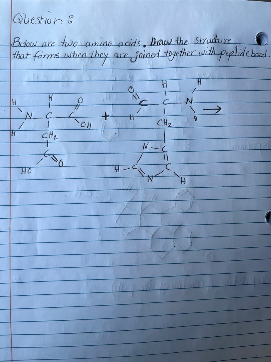 Queshon &
Belaw are two amino acids, Draw the Shudure
that forms when they are jained together with pephidebond.
में
of
CH2
CHz
H.
