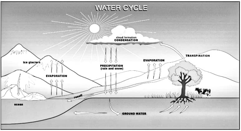 WATER CYCLE
cloud formation
CONDENSATION
TRANSPIRATION
Ice glaciers
EVAPORATION
PRECIPITATION
(rain and snow)
EVAPORATION
www.ta
Tunoff
ocean
GROUND WATER
