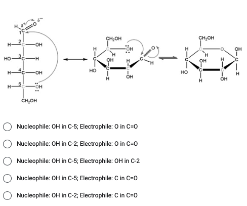 HO
-OH
H
-OH
-он
CH₂OH
НО
оњон
OH
OH
Nucleophile: OH in C-5; Electrophile: 0 in C=0
Nucleophile: OH in C-2; Electrophile: 0 in C=0
Nucleophile: OH in C-5; Electrophile: OH in C-2
Nucleophile: OH in C-5; Electrophile: C in C=0
Nucleophile: OH in C-2; Electrophile: C in C=O
НО
CH.OH
OH
H
I
OH
OH
H