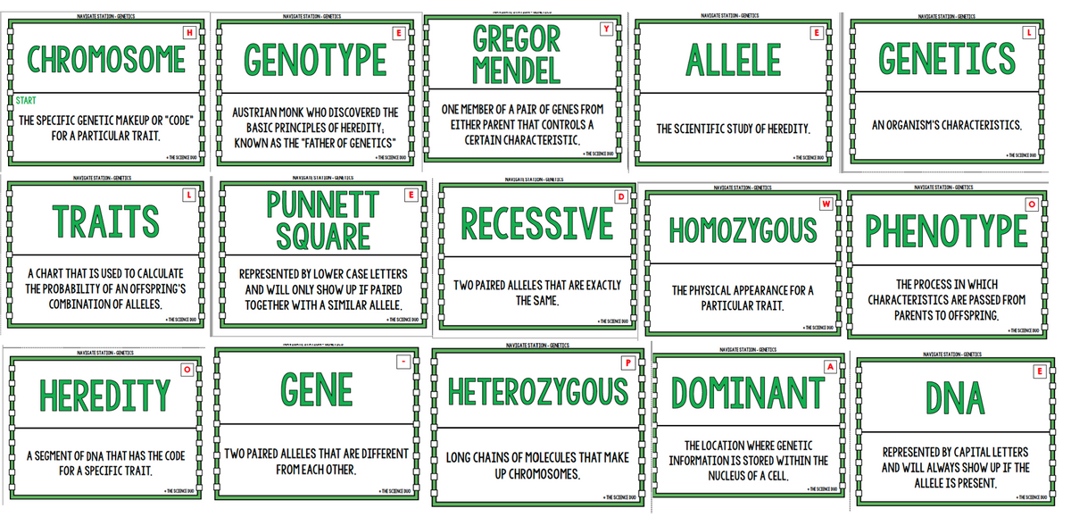 NAVIGATE STATION-GENETICS
NAVIGATE STATION -GENETICS
NAVIGATE STATION-GENETICS
NAVIGATE STATION-GENETICS
Y
GREGOR
MENDEL
H
E
CHROMOSOME
GENOTYPE
ALLELE
GENETICS
START
AUSTRIAN MONK WHO DISCOVERED THE
ONE MEMBER OF A PAIR OF GENES FROM
THE SPECIFIC GENETIC MAKEUP OR "CODE"
EITHER PARENT THAT CONTROLS A
AN ORGANISM'S CHARACTERISTICS.
BASIC PRINCIPLES OF HEREDITY;
KNOWN AS THE "FATHER OF GENETICS"
THE SCIENTIFIC STUDY OF HEREDITY.
FOR A PARTICULAR TRAIT.
CERTAIN CHARACTERISTIC.
• THE SCIENCE DUO
• THE SCIENCE DUO
• THE SCIENCE DUO
• THE SCIENCE DUO
• THE SCIENCE DUO
NAVIGATE STATION- GENETICS
NAVIGATE STATION - GENETICS
NAVIGATE SIATION- GENETICS
NAVIGATE STATION-GENETICS
NAVIGATE STATION-GENETICS
PUNNETT
SQUARE
L
D
TRAITS
RECESSIVE
HOMOZYGOUS E PHENOTYPE
A CHART THAT IS USED TO CALCULATE
REPRESENTED BY LOWER CASE LETTERS
TWO PAIRED ALLELES THAT ARE EXACTLY
THE SAME.
THE PROCESS IN WHICH
THE PROBABILITY OF AN OFFSPRING'S
AND WILL ONLY SHOW UP IF PAIRED
THE PHYSICAL APPEARANCE FOR A
COMBINATION OF ALLELES.
TOGETHER WITHA SIMILAR ALLELE.
PARTICULAR TRAIT.
CHARACTERISTICS ARE PASSED FROM
PARENTS TO OFFSPRING.
• THE SCIENCE DUO
• THE SCIENCE DUO
• THE SCIENCE DUO
• THE SCIENCE DUO
• THE SCIENCE DUO
NAVIGATE STATION -CENETICS
NAVIGATE STATION - GENETICS
NAVIGATE STATION - GENETICS
NAVIGATE STATION-GENETICS
P
HEREDITY
GENE
HETEROZYGOUS DOMINANT
DNA
THE LOCATION WHERE GENETIC
A SEGMENT OF DNA THAT HAS THE CODE
FOR A SPECIFIC TRAIT.
TWO PAIRED ALLELES THAT ARE DIFFERENT
FROMEACH OTHER.
REPRESENTED BY CAPITAL LETTERS
AND WILL ALWAYS SHOW UP IF THE
LONG CHAINS OF MOLECULES THAT MAKE
INFORMATION IS STORED WITHIN THE
UP CHROMOSOMES.
NUCLEUS OF A CELL.
ALLELE IS PRESENT.
• THE SCIENCE DUO
• THE SCIENCE DUO
• THE SCIENCE DUO
• THE SCIENCE DUO
• THE SCIENCE DUO
