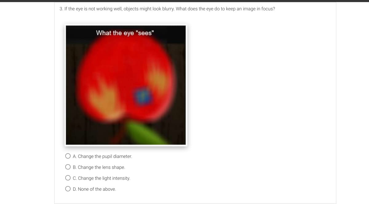 3. If the eye is not working well, objects might look blurry. What does the eye do to keep an image in focus?
What the eye "sees"
O A. Change the pupil diameter.
O B. Change the lens shape.
OC. Change the light intensity.
O D. None of the above.