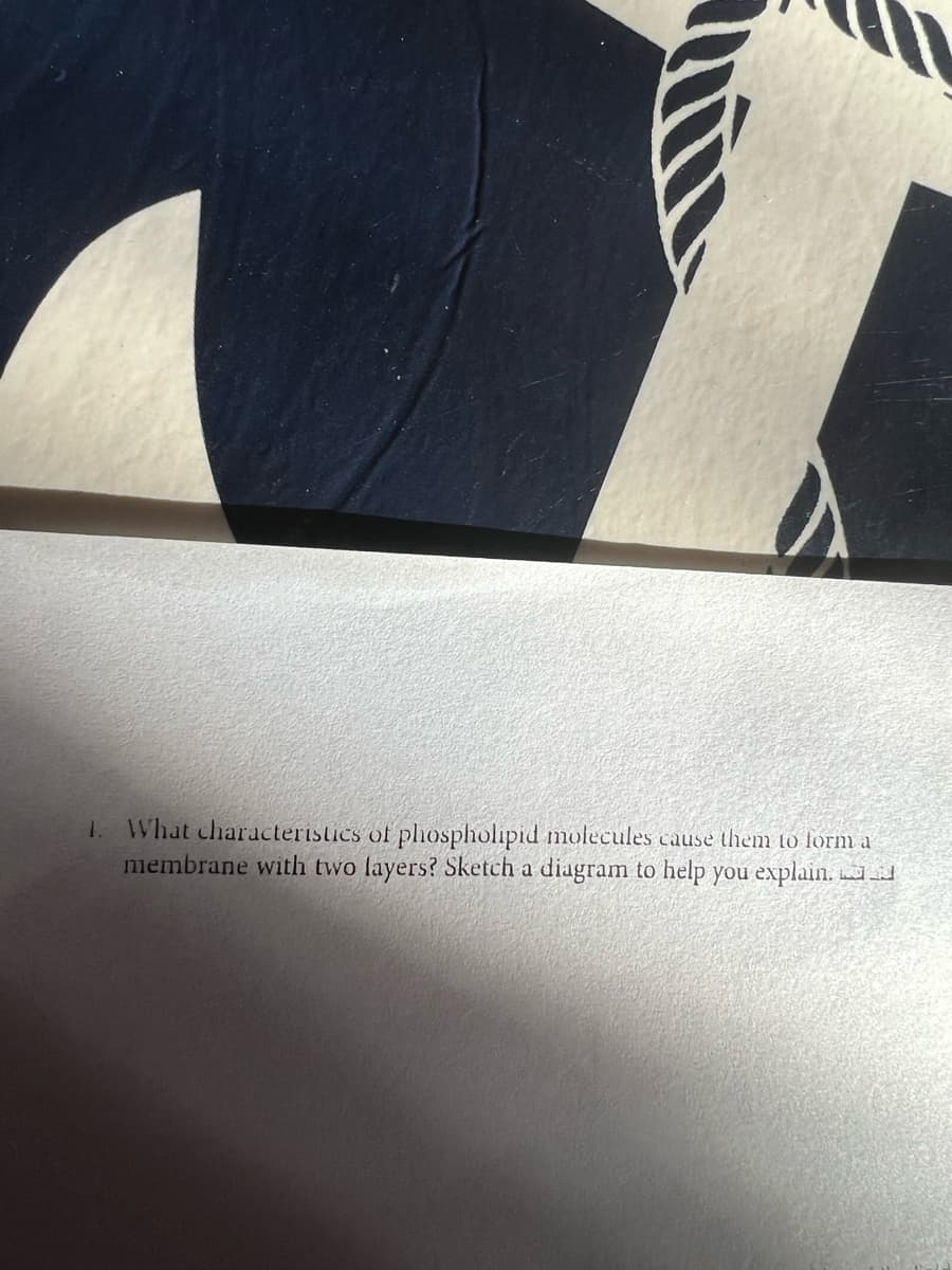 1. What characteristics of phospholipid molecules cause them to form a
membrane with two layers? Sketch a diagram to help you explain.