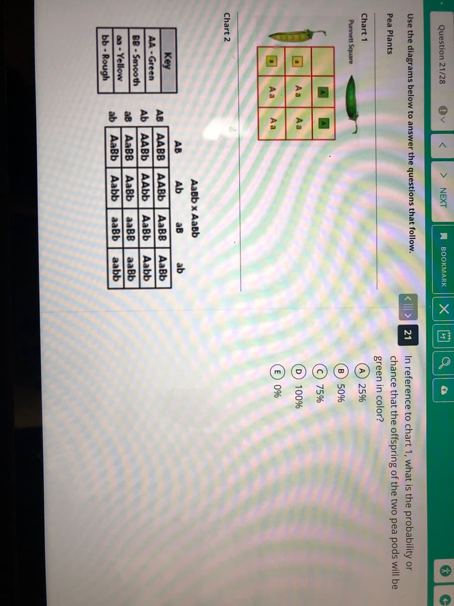 Question 21/28
NEXT
A BOOKMARK
Use the diagrams below to answer the questions that follow.
< ||| > 21
In reference to chart 1, what is the probability or
Pea Plants
chance that the offspring of the two pea pods will be
green in color?
Chart 1
A 25%
Punnett Square
B 50%
c) 75%
A a
Aa
D 100%
A a
A a
E 0%
Chart 2
AaBb x AaBb
AB
Ab
ав
ab
Key
AB AABB AABB AaBB
AaBb
AA - Green
Ab AABB AAbb AaBb
Aabb
BB - Smooth
aaBB
aaBb
aB
AaBB
AaBb
aaBb
aa - Yellow
ab
AaBb
Aabb
aabb
ьь - Rough
